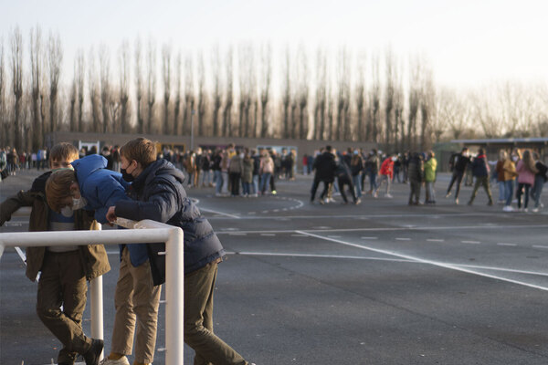 Afbeelding bij