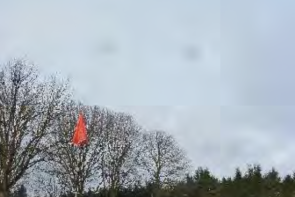 Afbeelding bij