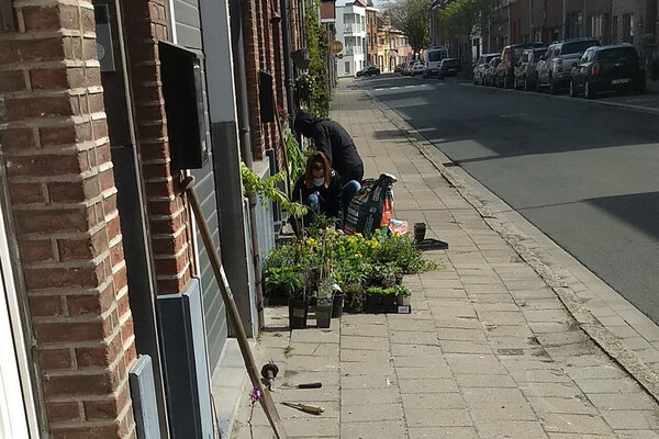 Afbeelding bij