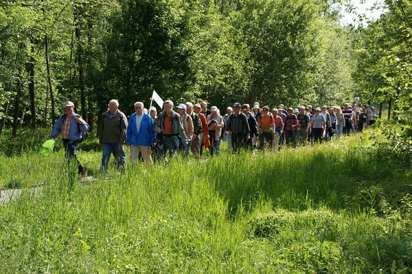Afbeelding bij