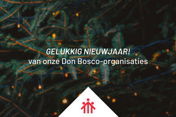 Afbeelding bij