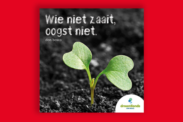 Afbeelding bij