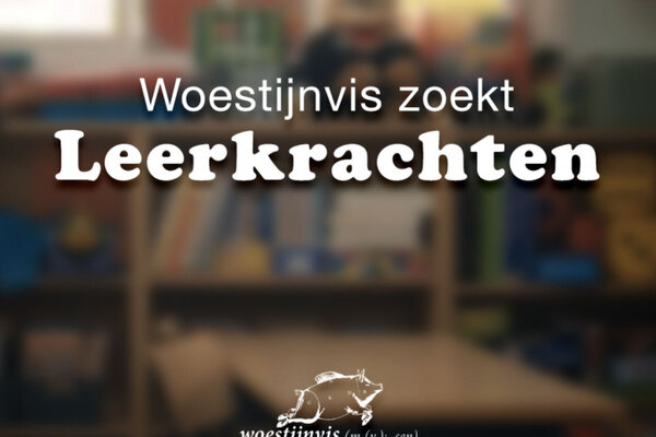 Afbeelding bij
