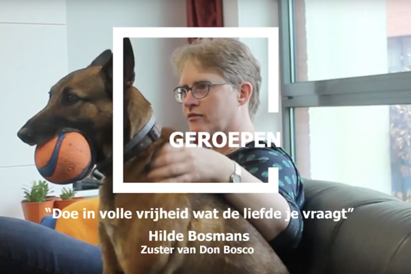 Afbeelding bij