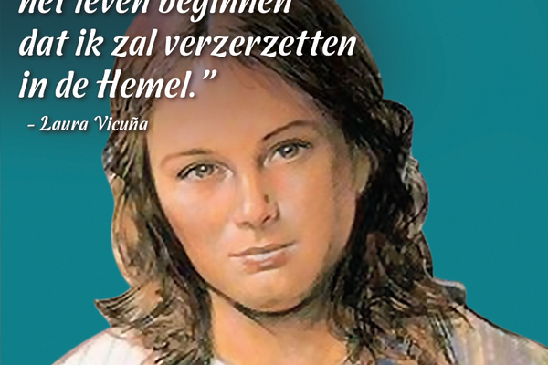 Afbeelding bij