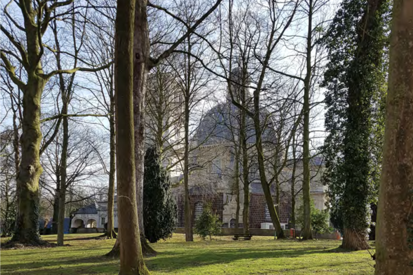 Afbeelding bij