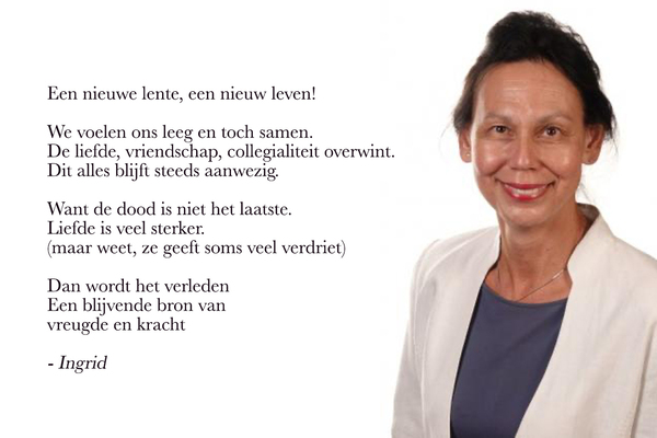 Afbeelding bij