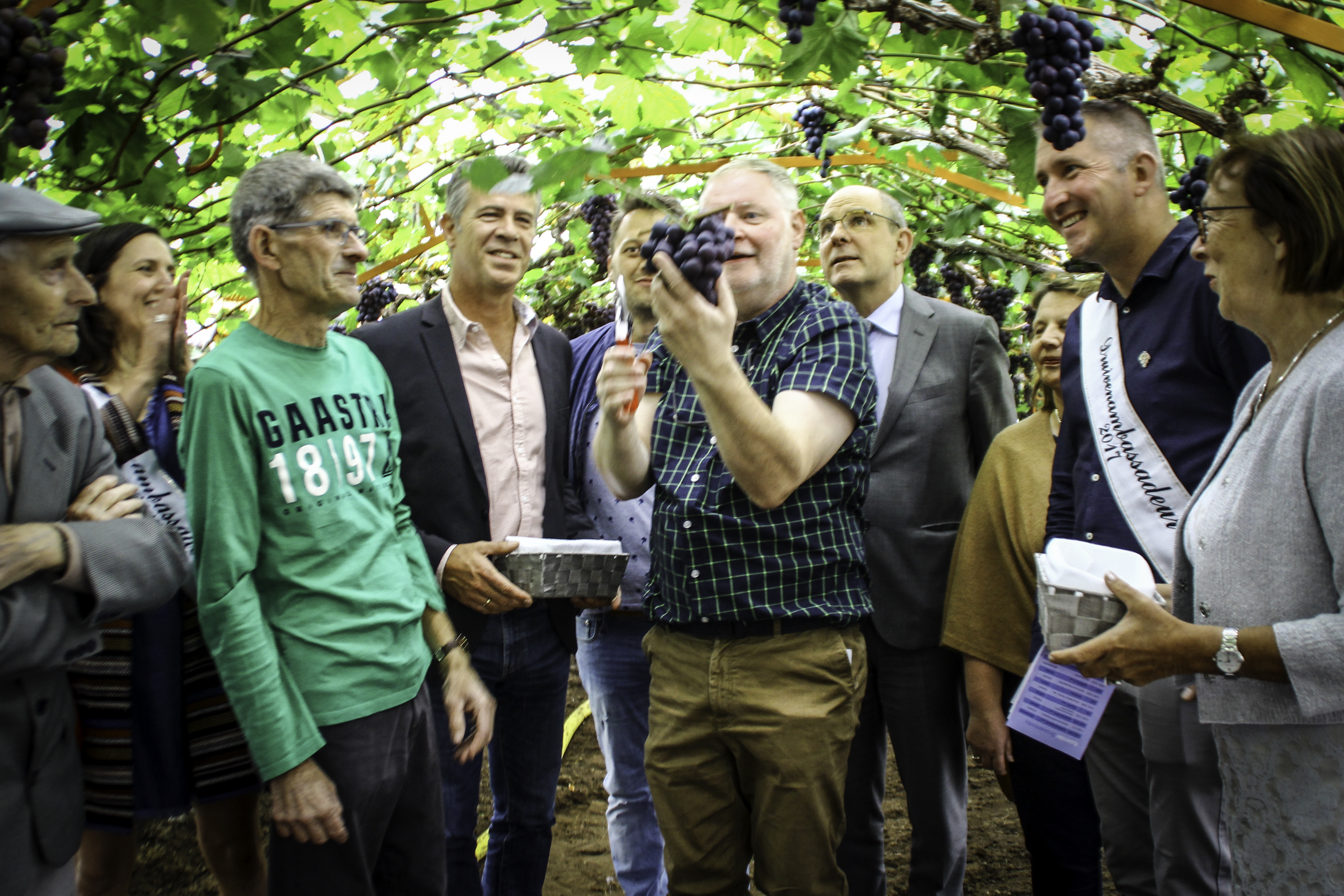 De week van Geens 11 tot 16 juli