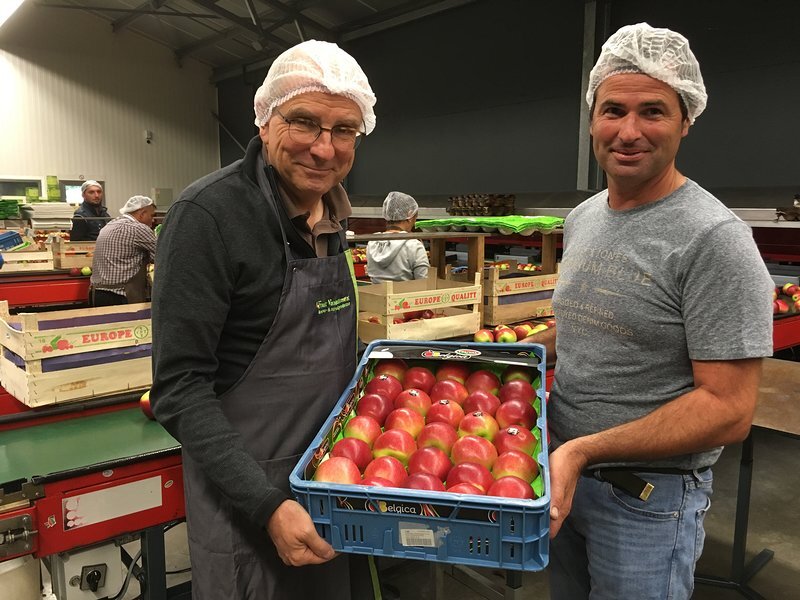 ​Minister Geens aan de slag als fruitplukker