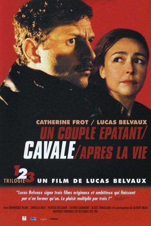 movie cover - Cavale