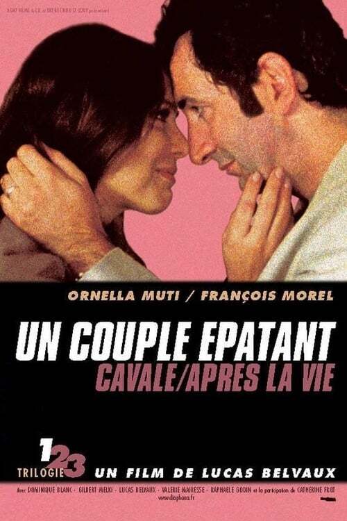 movie cover - Un Couple Épatant