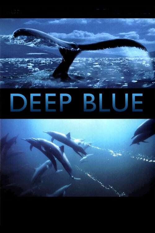 movie cover - Deep Blue