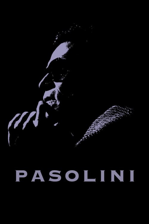 movie cover - Pasolini