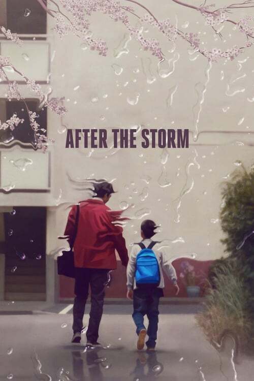 movie cover - After The Storm