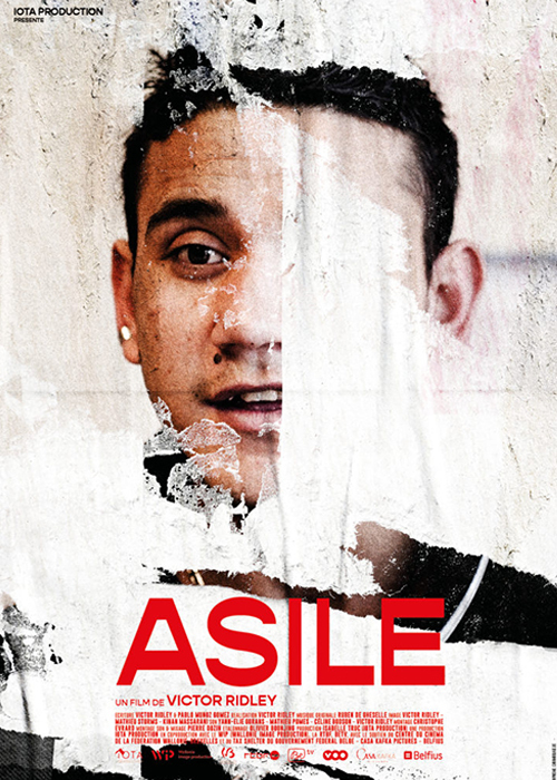 movie cover - Asile