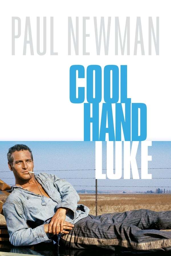 movie cover - Cool Hand Luke