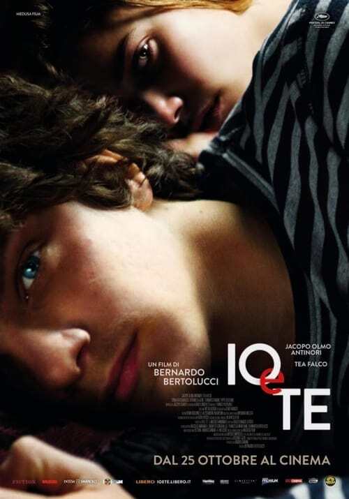 movie cover - Io E Te