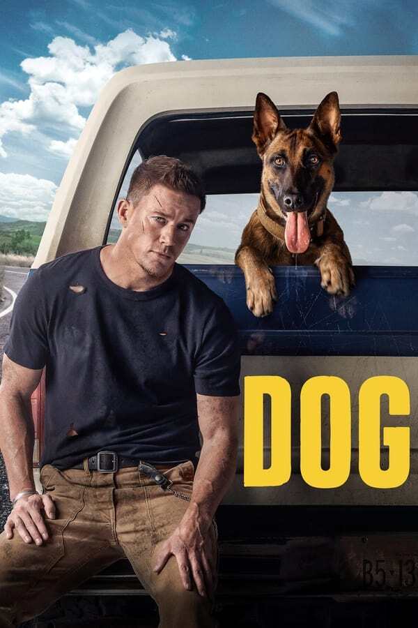 movie cover - Dog
