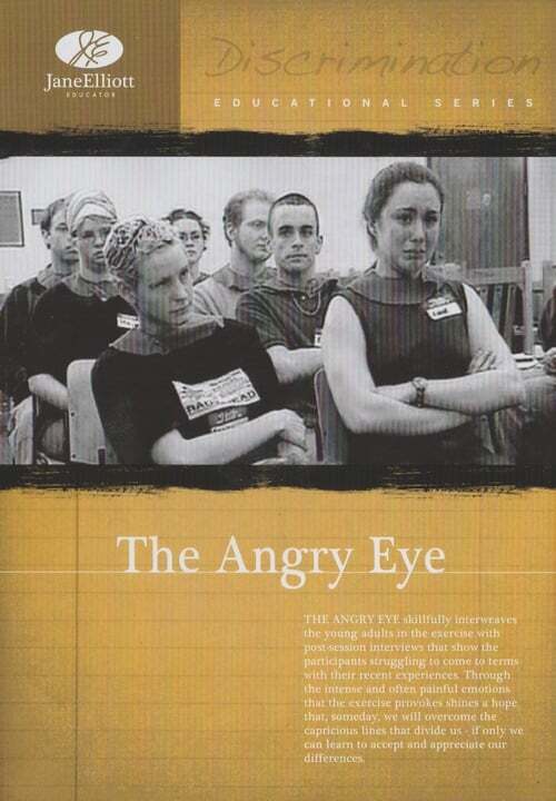 movie cover - The Angry Eye