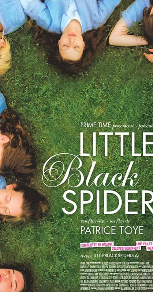 movie cover - Little Black Spiders