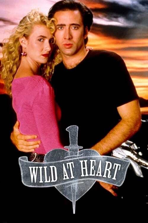 movie cover - Wild At Heart