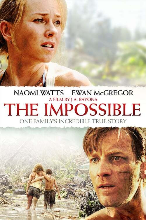 movie cover - The Impossible