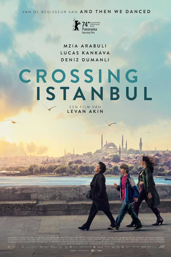 movie cover - Crossing Istanbul