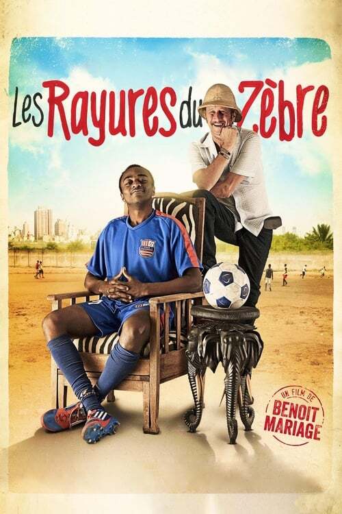 movie cover - Les Rayures Du Zèbre