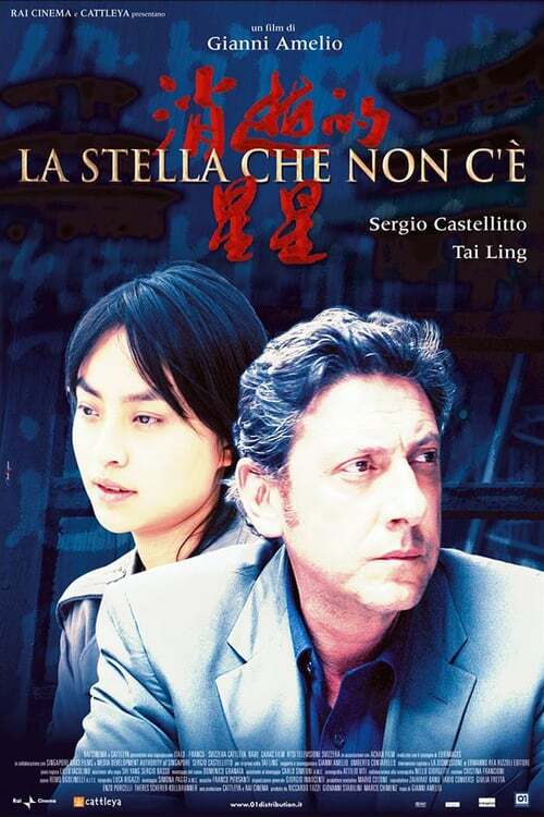 movie cover - La Stella Che Non C