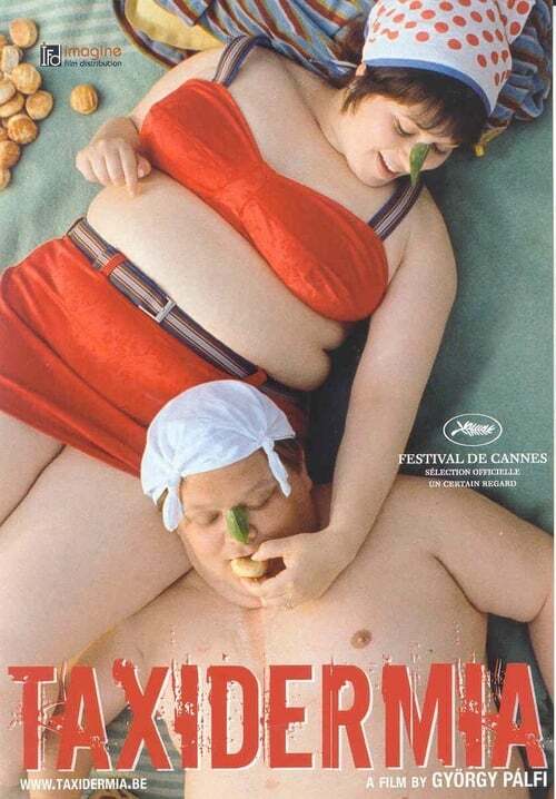 movie cover - Taxidermia