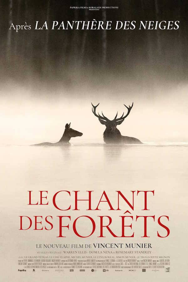 Le Chant Des Forêts movie poster