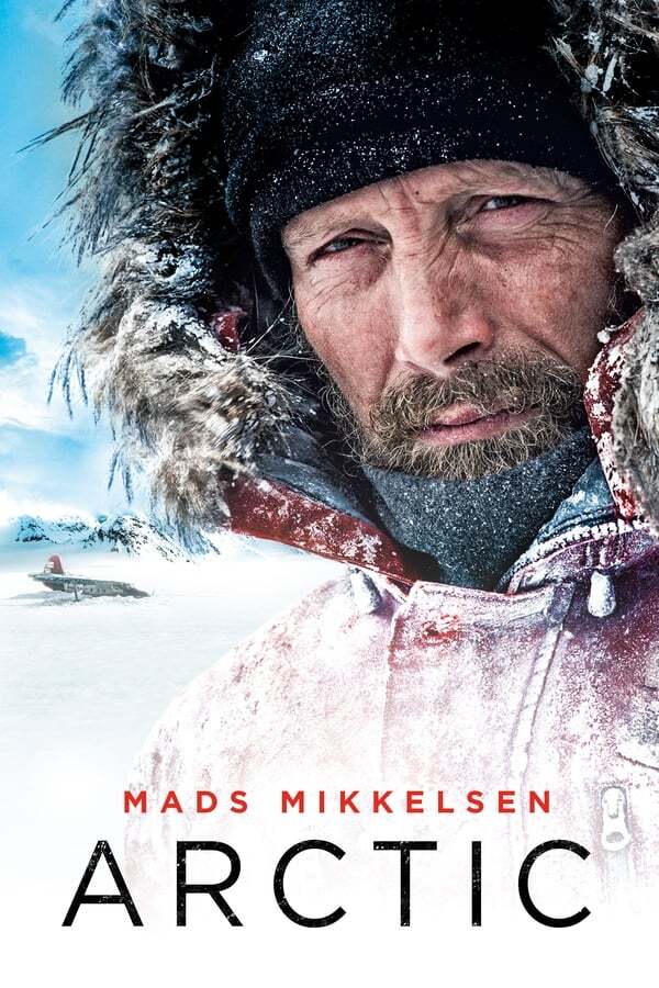 movie cover - Arctic