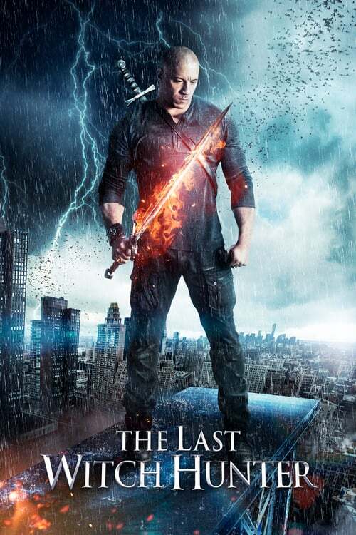 movie cover - The Last Witch Hunter