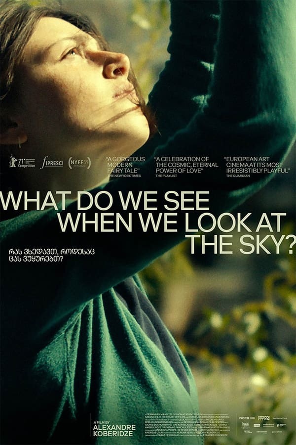 movie cover - What Do We See When We Look at the Sky? 
