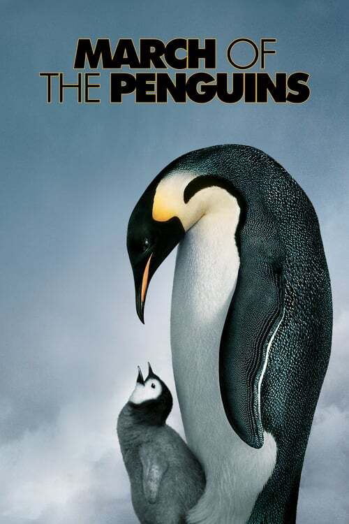 movie cover - March Of The Penguins