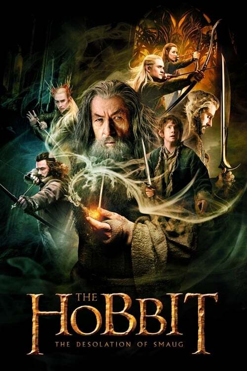 movie cover - The Hobbit: The Desolation of Smaug