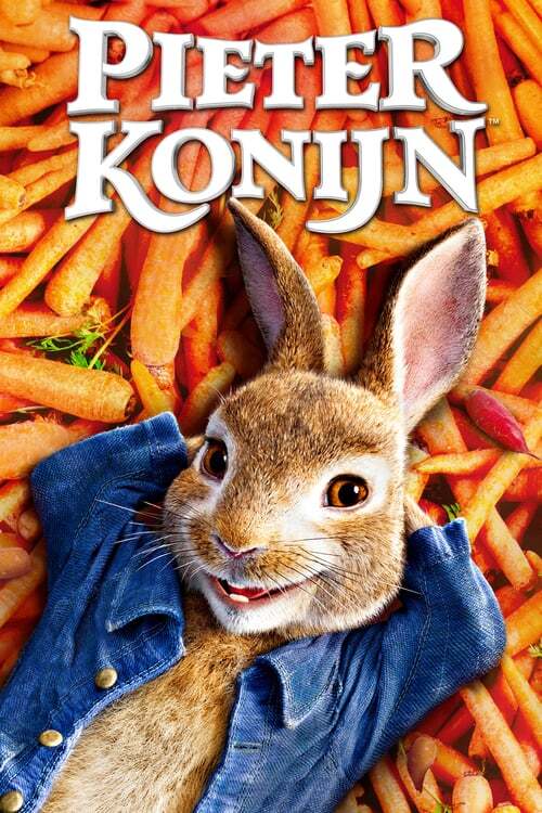 movie cover - Pieter Konijn