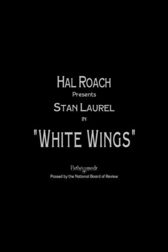 movie cover - White Wings
