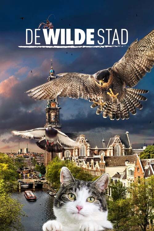 movie cover - De Wilde Stad