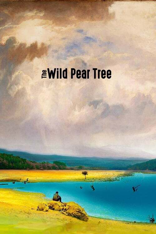 movie cover - The Wild Pear Tree