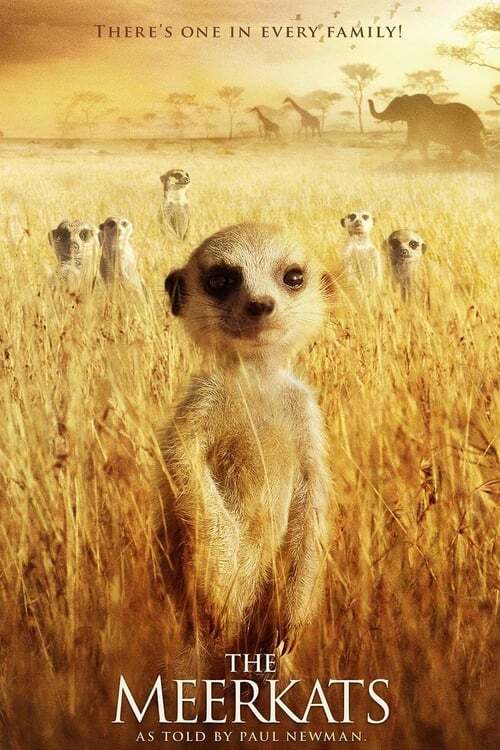 movie cover - The Meerkats