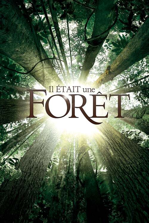 movie cover - Once Upon A Forest