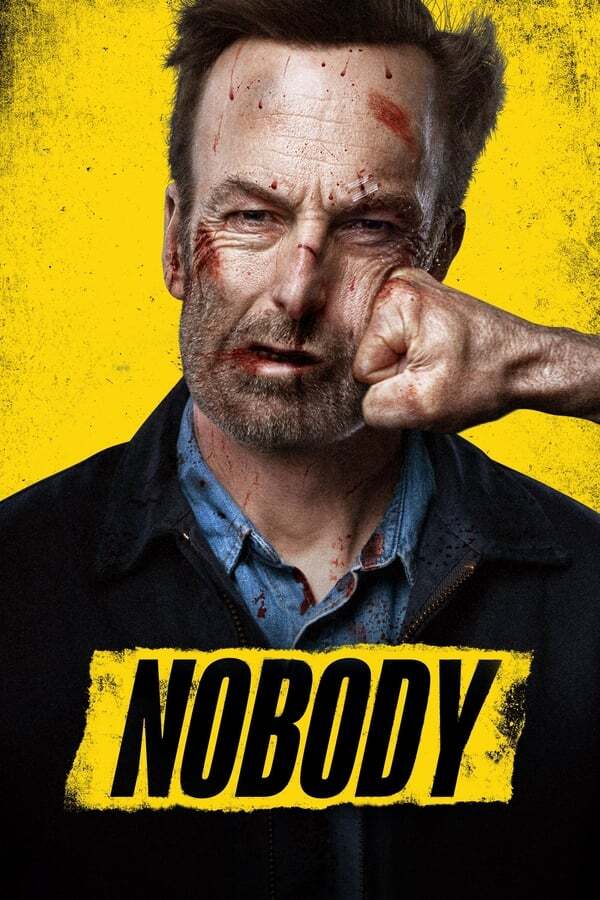 movie cover - Nobody