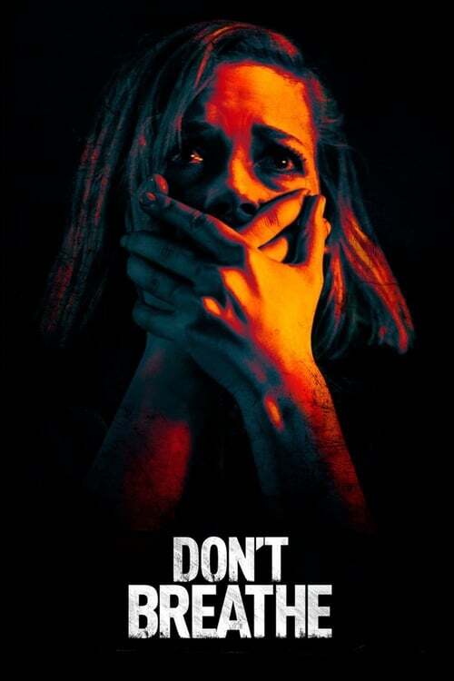 movie cover - Don