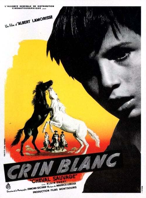 movie cover - Crin Blanc: Le Cheval Sauvage