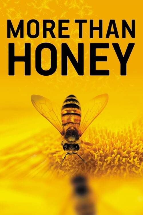 movie cover - More Than Honey