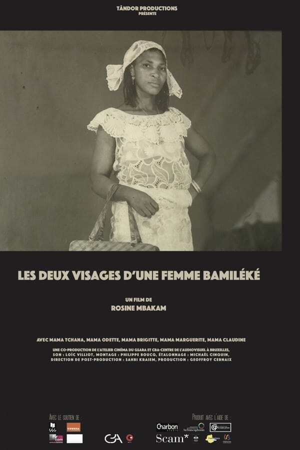 movie cover - Les Deux Visages D