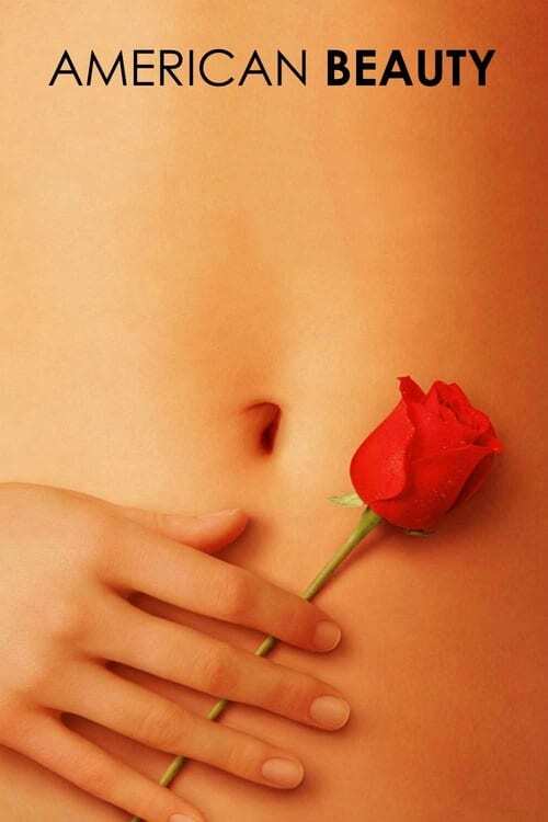 movie cover - American Beauty