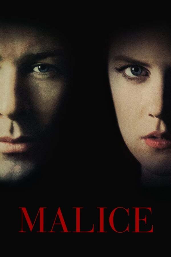 movie cover - Malice