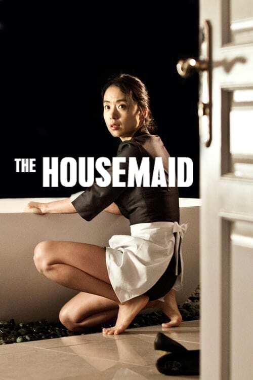 movie cover - The Housemaid